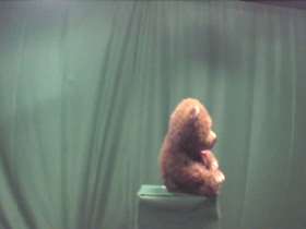 90 Degrees _ Picture 9 _ Brown Teddy Bear Wearing Red Ribbon.png